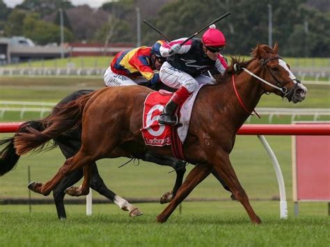 Chatham Stakes 2020 Field, Odds, Tips, Results & Winners.